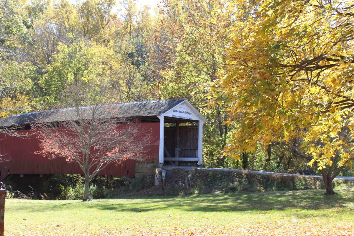 red bridge with black roof and yellow fall trees