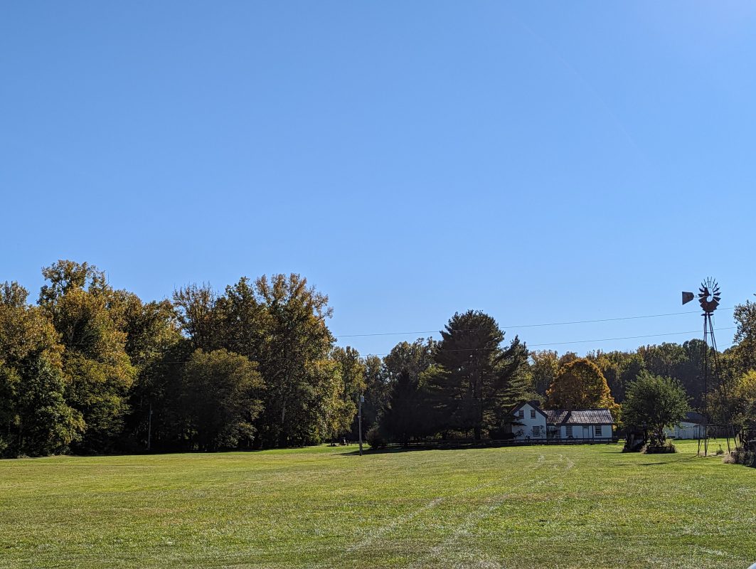 large open grassy field with blue sky and windmill on right side