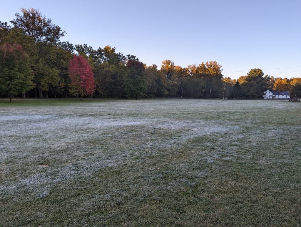 frost covering grassy field with fall trees and a blue morning sky
